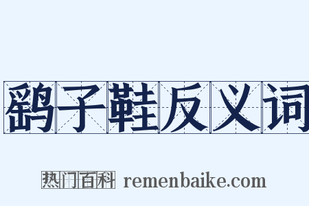 鹞子鞋反义词是什么意思的图片